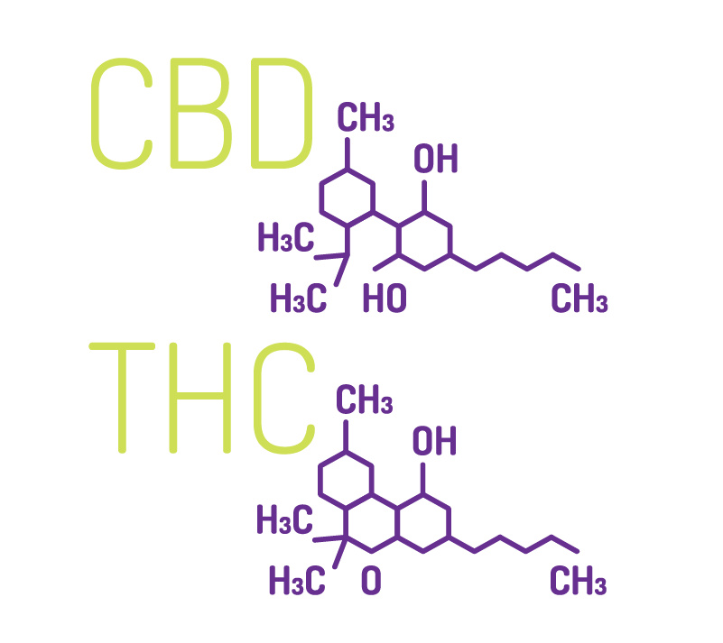 INGREDIENTS cbd-thc