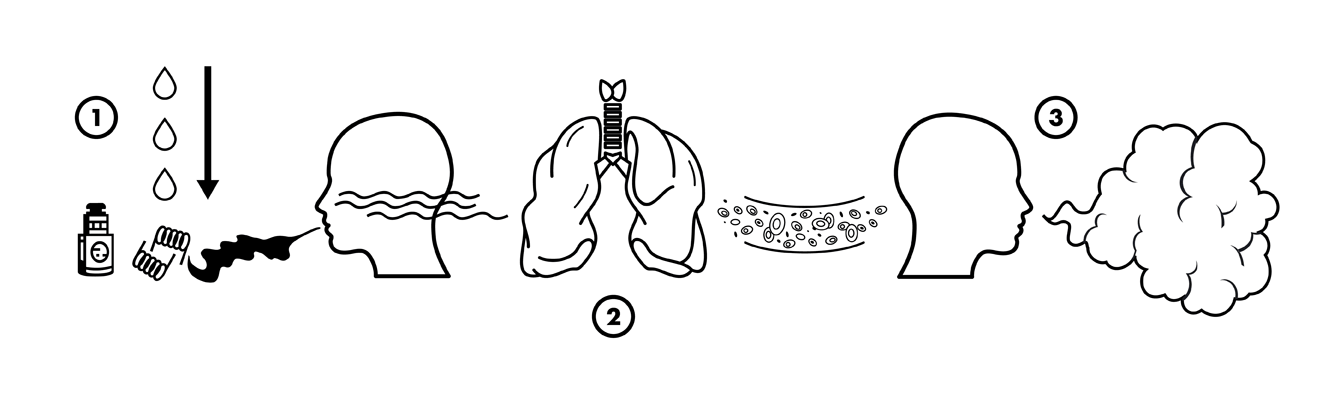 How a vape affects your body